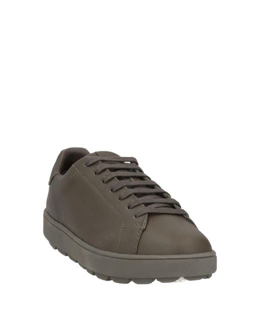 Geox Brown Trainers