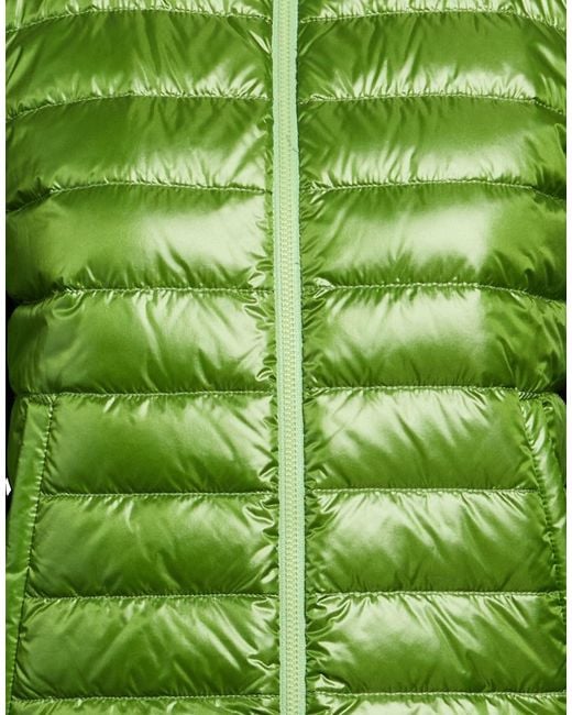 Herno Green Puffer