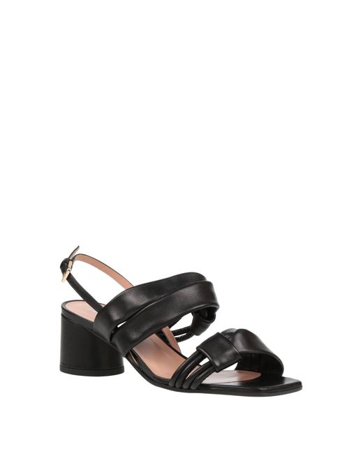 Sandales Pollini en coloris Black