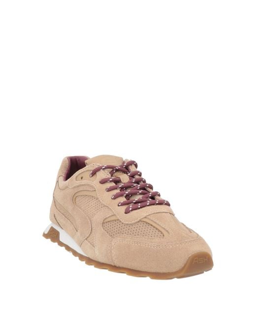 Ash Brown Trainers