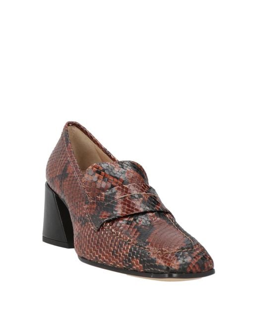 Pomme D'or Brown Loafers