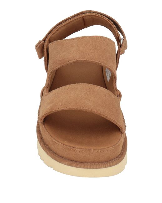 Ugg Brown Sandals for men