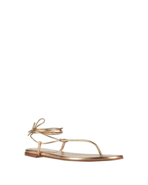 Sergio Rossi Natural Thong Sandal