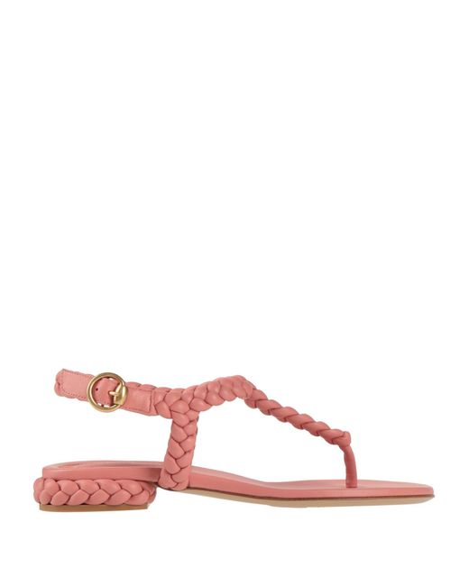 Gianvito Rossi Pink Thong Sandal