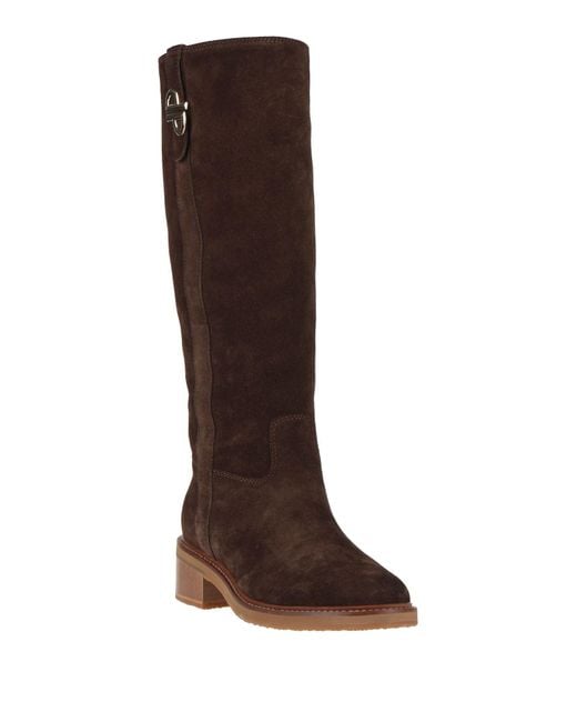 Pollini Brown Boots