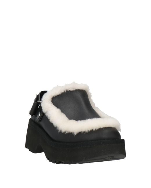 Ugg Black Mules & Clogs