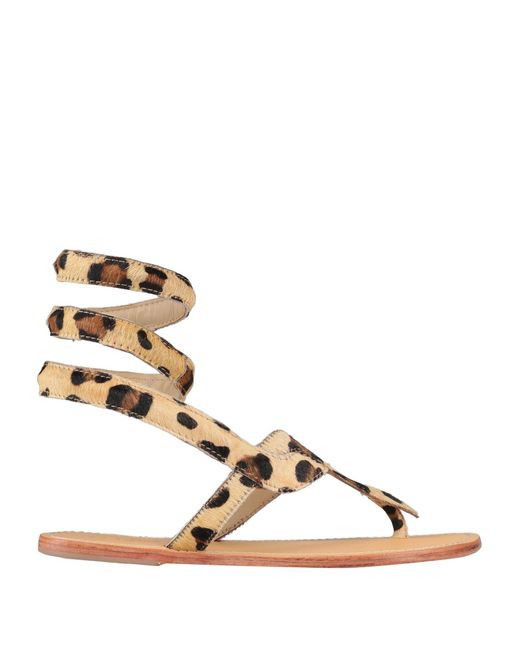 Aspiga shoes store
