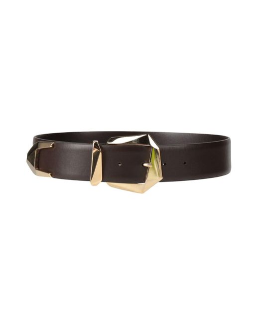 Alberta Ferretti Multicolor Belt