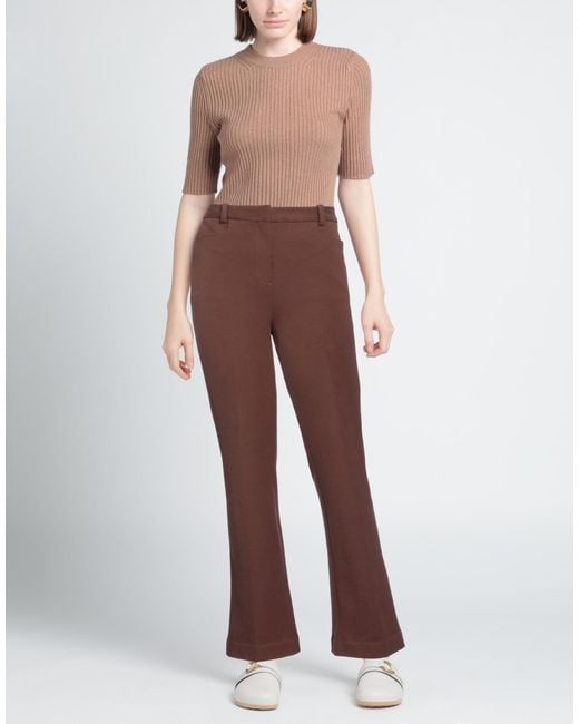 Circolo 1901 Purple Trouser