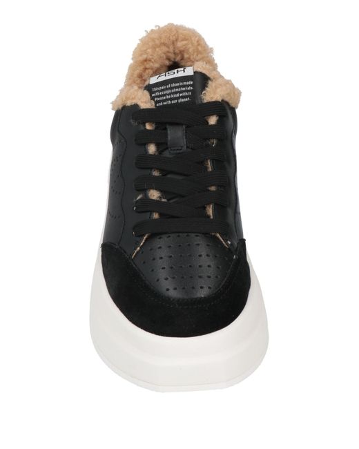 Ash Black Trainers