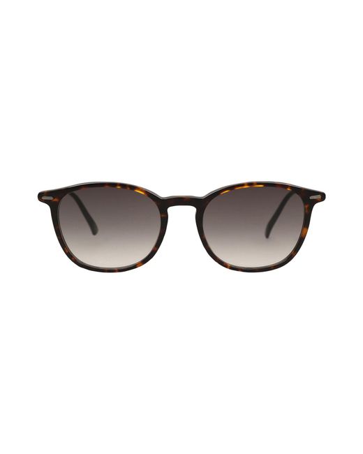 Safilo Multicolor Sunglasses for men