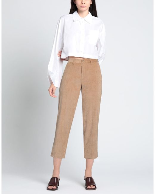 Briglia 1949 Natural Genderless Pants Polyester, Polyamide