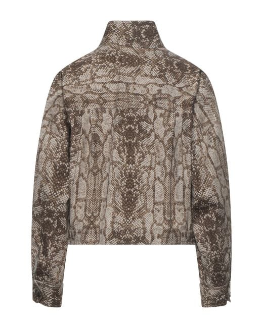 Alberta Ferretti Brown Jacket