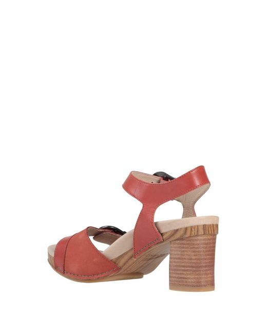 dansko pink sandals