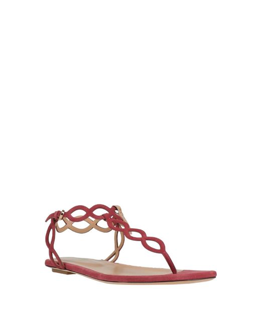 Sergio Rossi Pink Thong Sandals