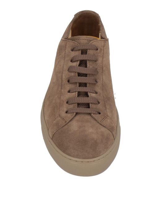 Doucal's Brown Sneakers for men