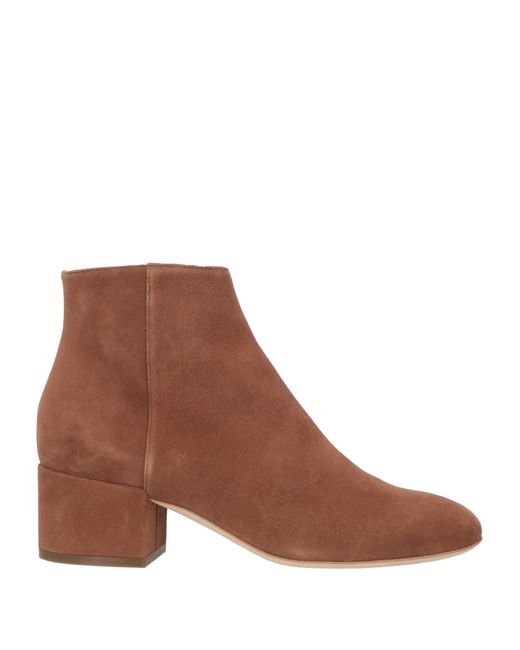 Sergio Rossi Brown Ankle Boots