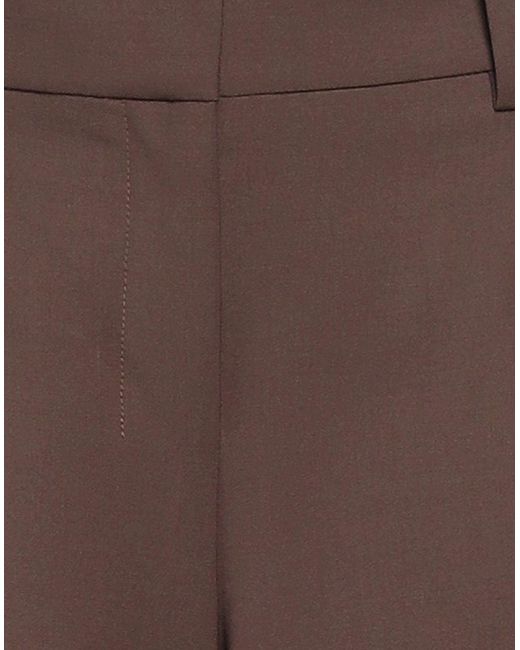 Theory Brown Trouser
