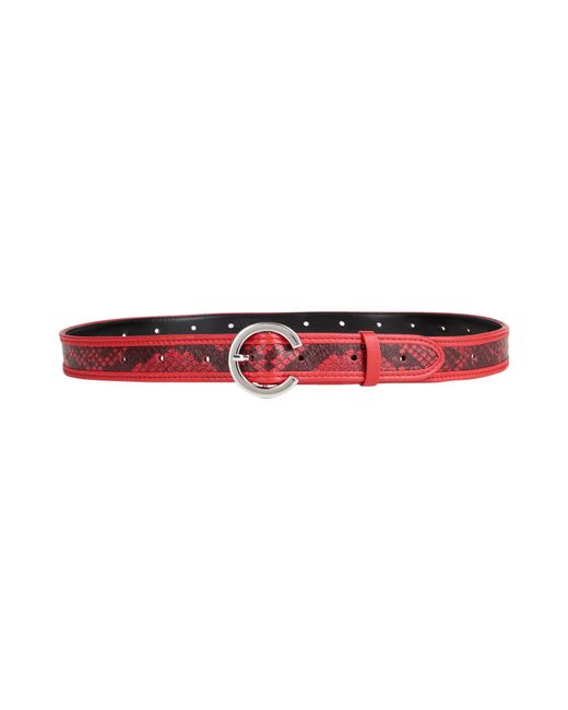 MAX&Co. Red Belt