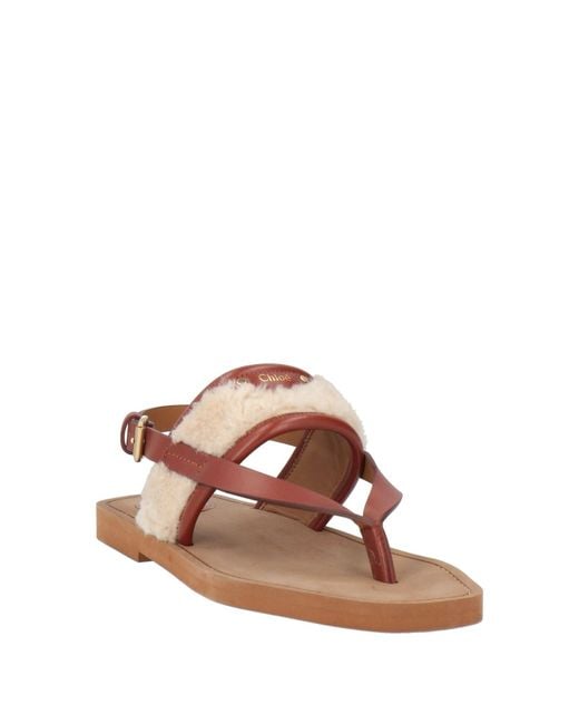 Chloé Brown Thong Sandal Leather