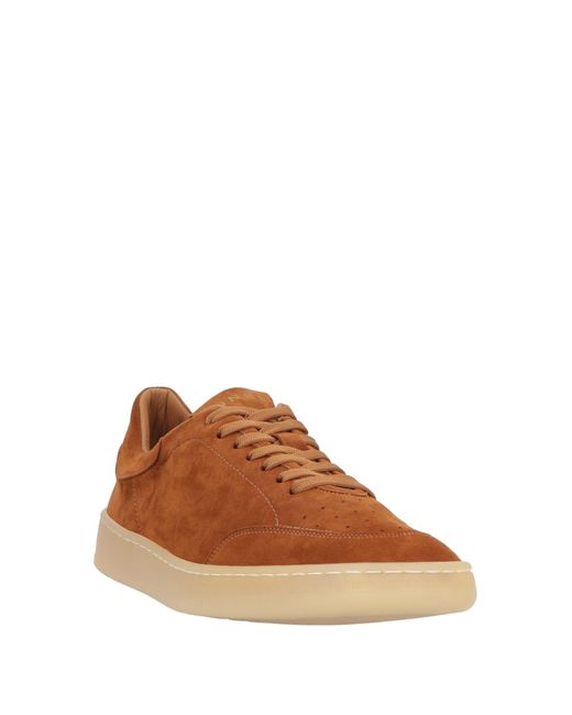 AINÉE Brown Trainers for men