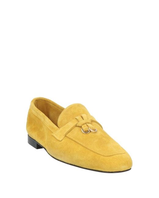Doucal's Yellow Mokassin