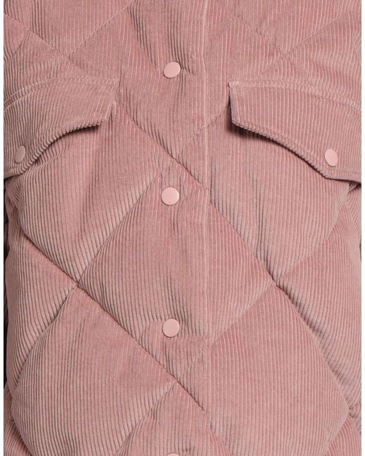 Caractere Pink Puffer