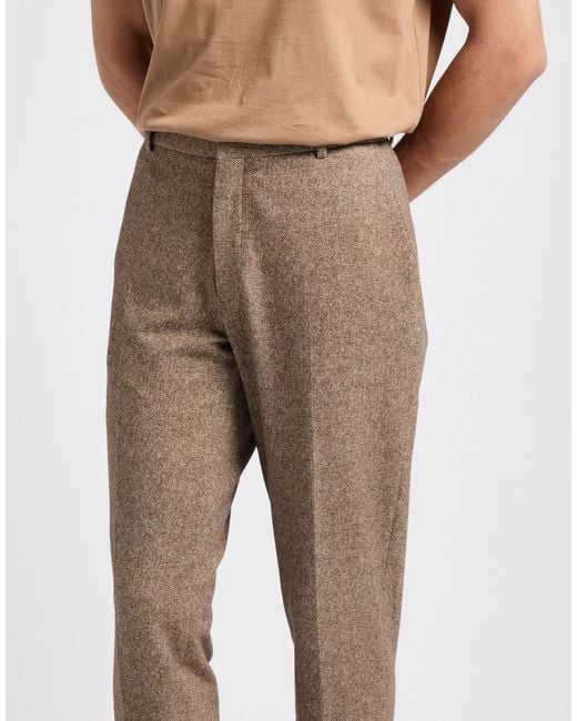 Circolo 1901 Gray Pants Cotton, Elastane for men