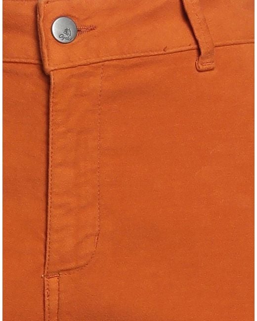 CIGALA'S Orange Pants Cotton, Elastane