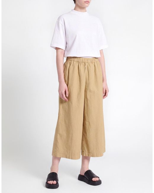 Aspesi Natural Sand Pants Cotton