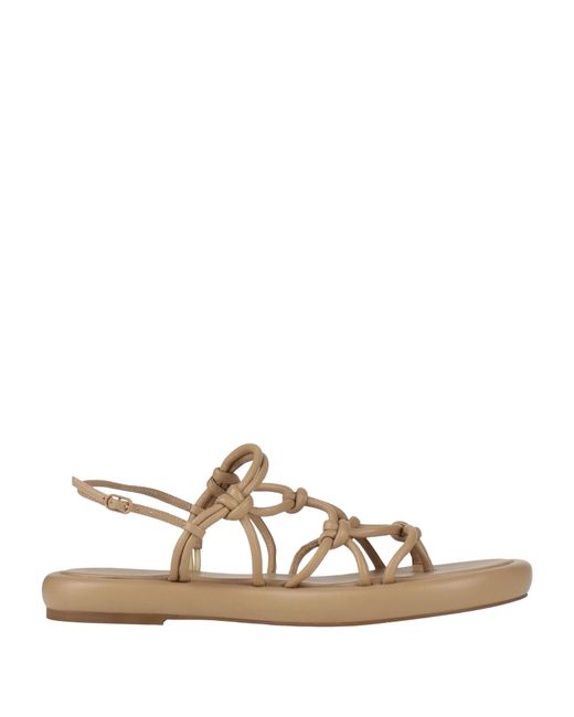 STUDIO AMELIA Natural Thong Sandals