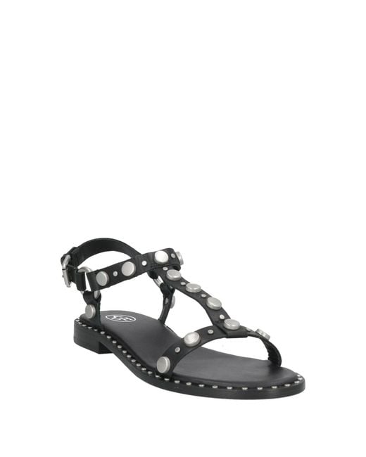 Ash Black Sandale