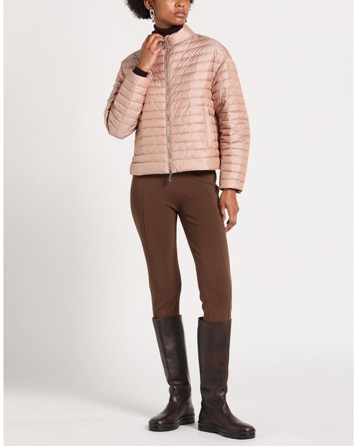 Moorer Pink Puffers