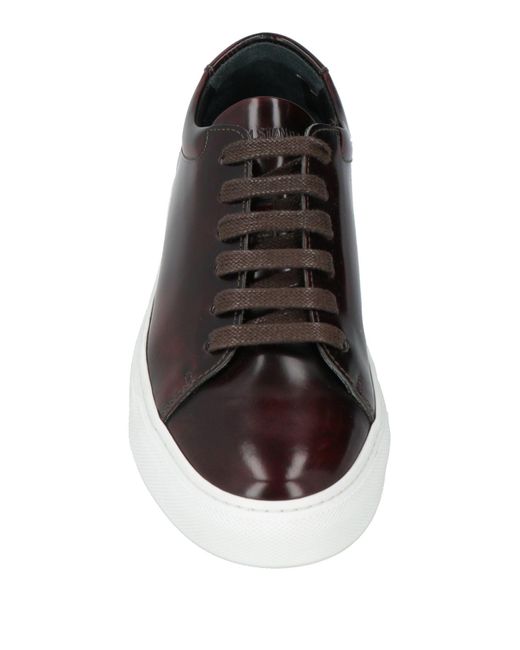 National Standard Brown Trainers for men
