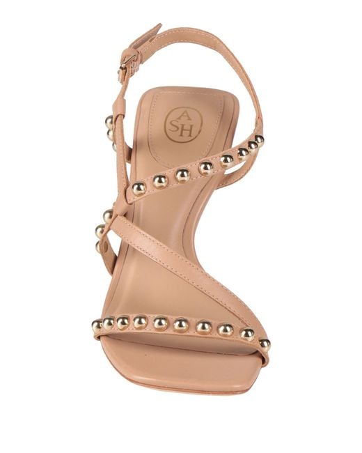 Ash Pink Chocolate Sandals Leather