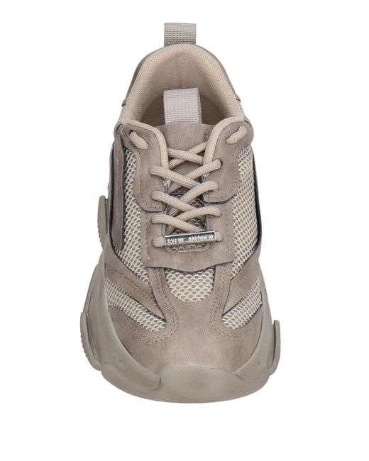 Steve Madden Gray Trainers