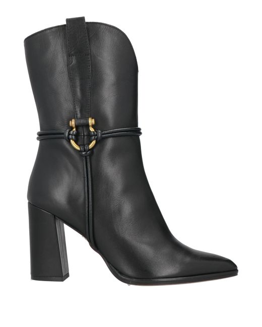 Bruno Premi Black Ankle Boots