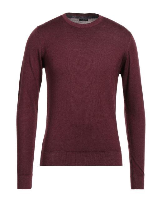 Retois Purple Sweater for men