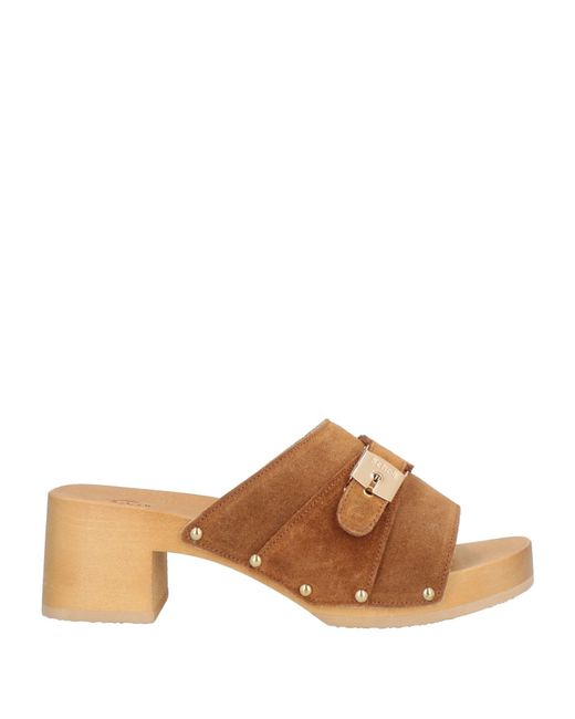 Scholl Brown Sandals