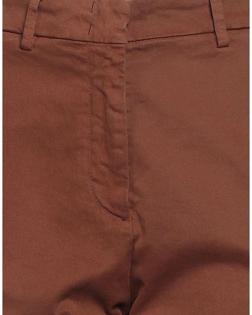 Cruna Brown Chocolate Pants Cotton, Elastane