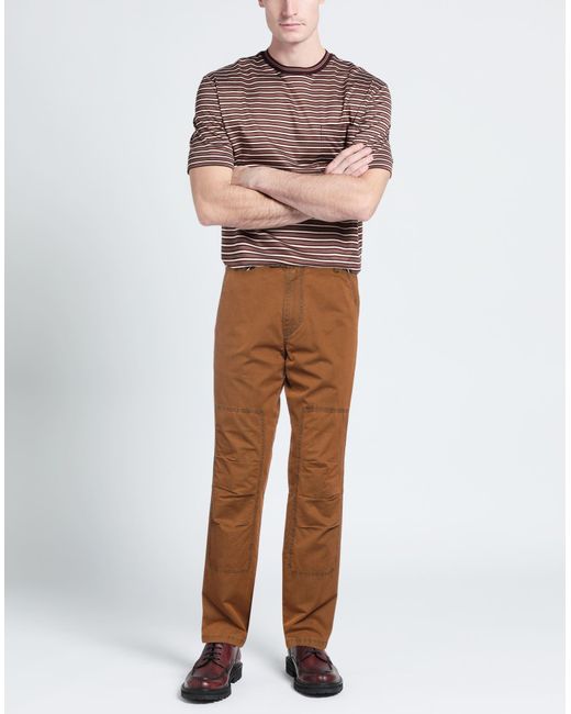 Avirex Brown Trouser for men
