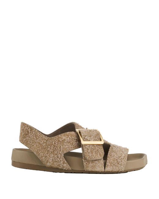 Loewe Brown Sandals