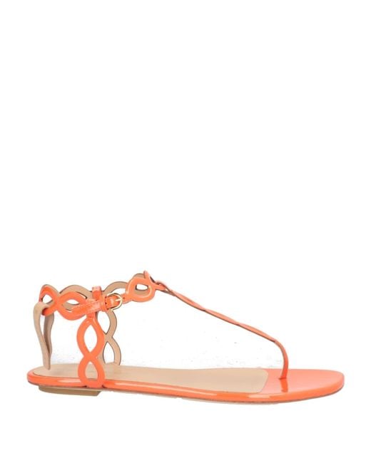 Sergio Rossi Pink Thong Sandals