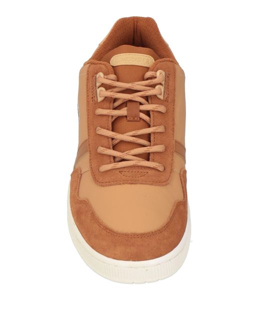 Lacoste Brown Trainers for men