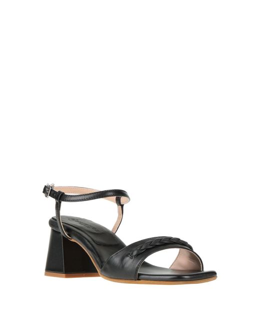 Loretta Pettinari Black Sandals