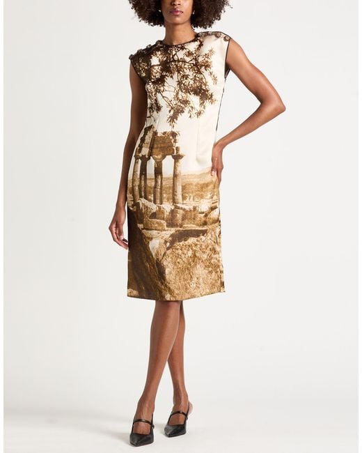 Dolce & Gabbana Metallic Midi Dress