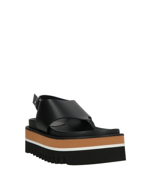 Paloma Barceló Black Thong Sandal Cow Leather