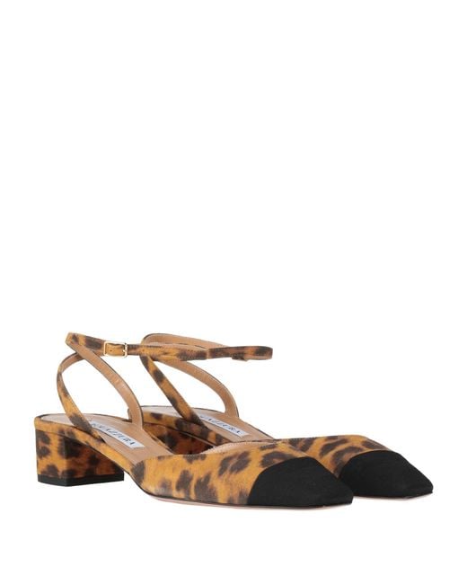 Aquazzura Multicolor Pumps