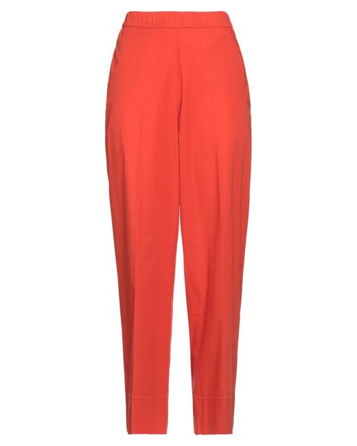 Whyci Red Trouser