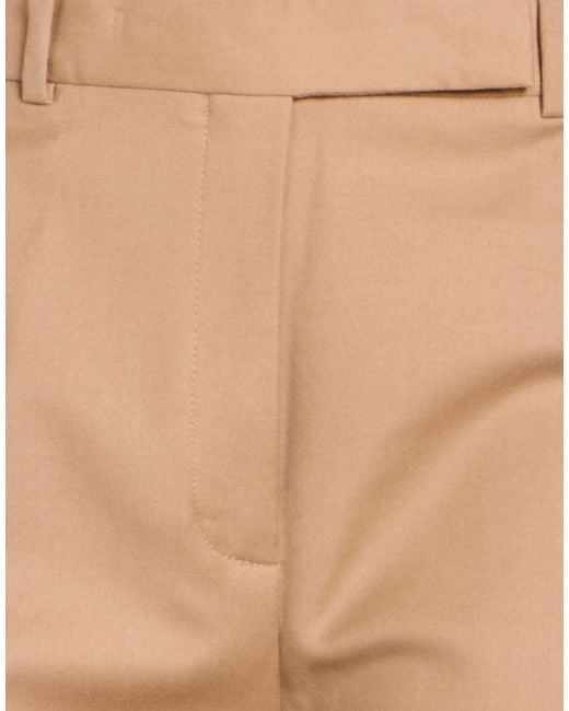 Theory Natural Pants Wool